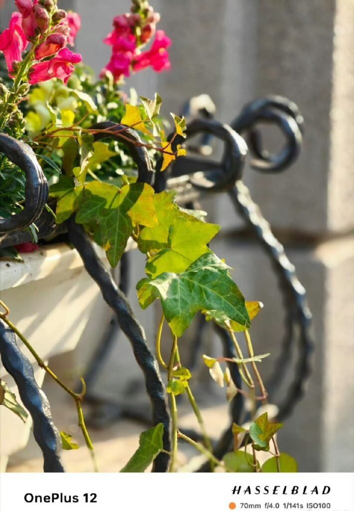 OnePlus 12 Launched in China with Impressive Specs and Features 2 OnePlus 12 Camera Sample 1