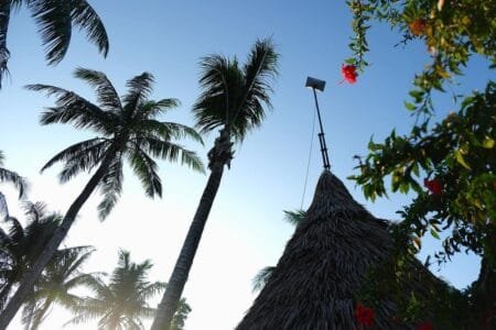 A Starlink satellite internet receiver mounted on a tall pole, overlooking a thatched roof structure. Lush palm trees and vibrant flowers are visible in the background, suggesting a tropical location, possibly in the Philippines.